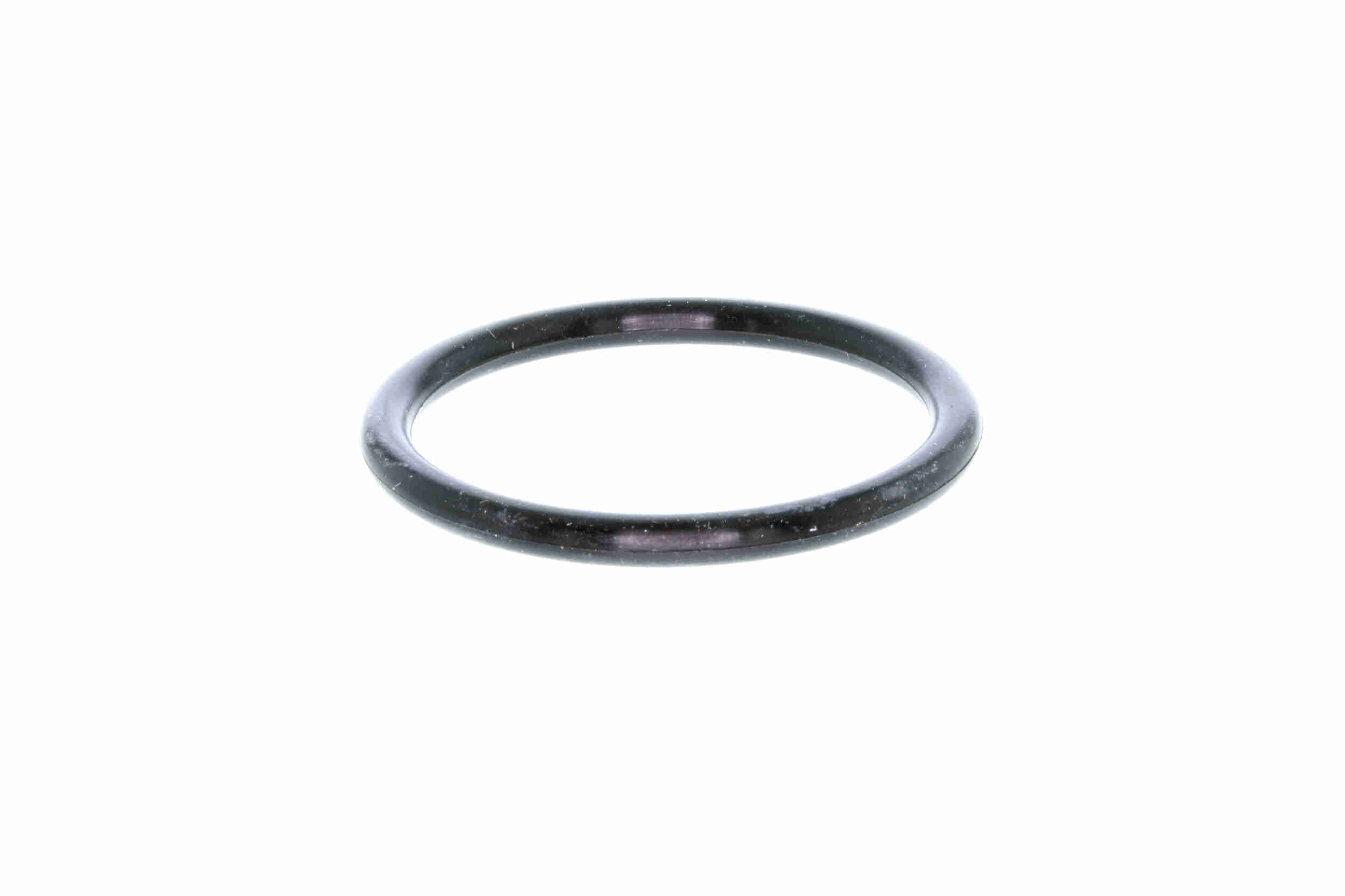 Vemo Thermostaathuis V51-99-0004
