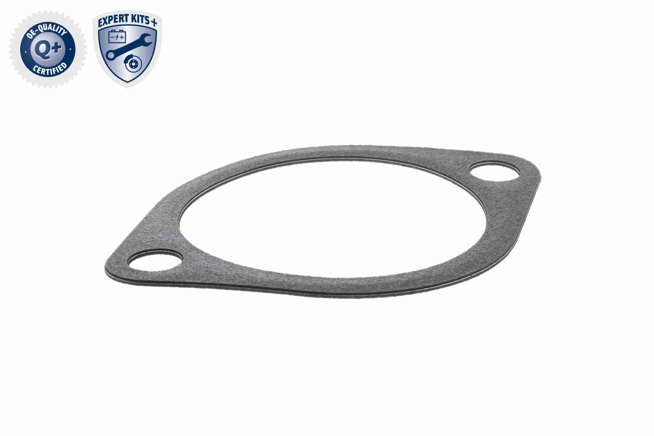 Vemo Thermostaat V52-99-0001