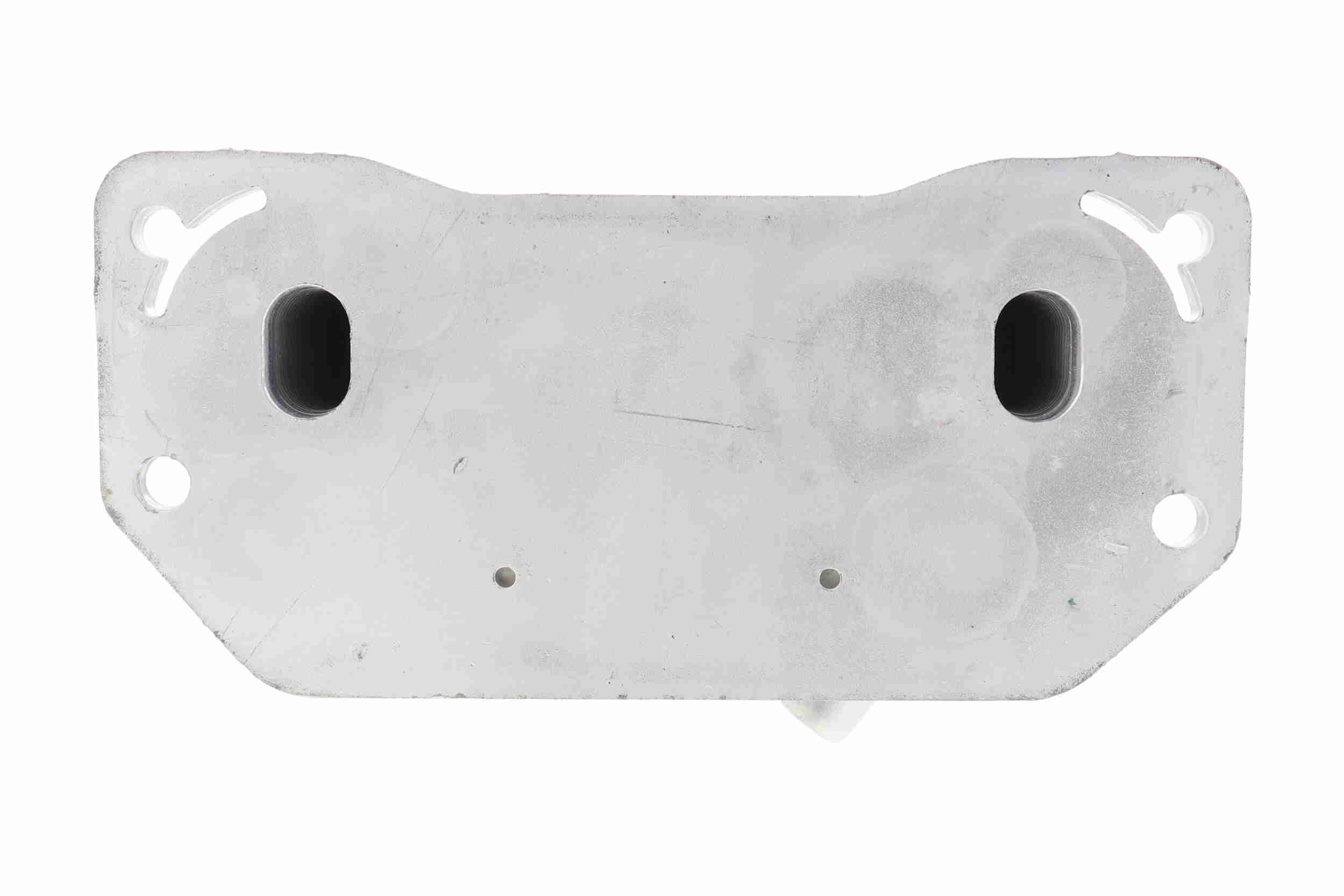 Vemo Oliekoeler motorolie V95-60-0024
