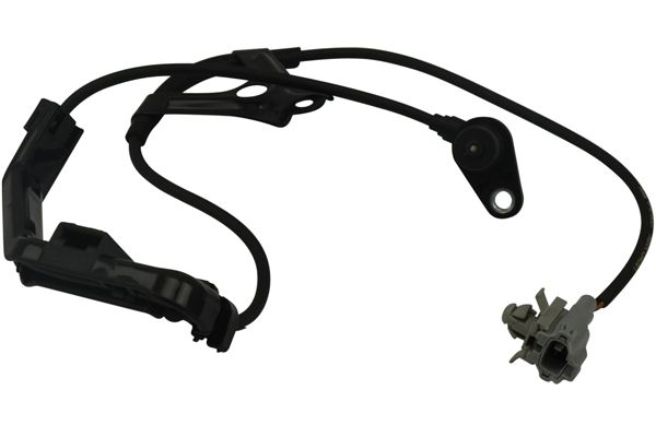 ABS sensor Kavo Parts BAS-9007