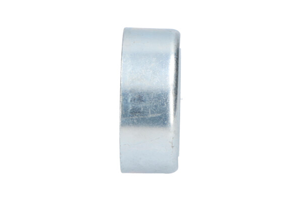 Kavo Parts Geleiderol (poly) V-riem DIP-4023