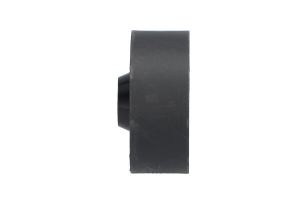 Kavo Parts Geleiderol (poly) V-riem DIP-9019