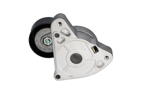 Kavo Parts Spanrol (poly) V-riem DTP-2001