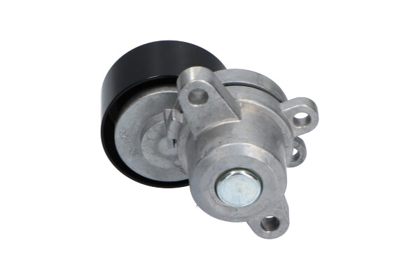 Kavo Parts Spanrol (poly) V-riem DTP-6550