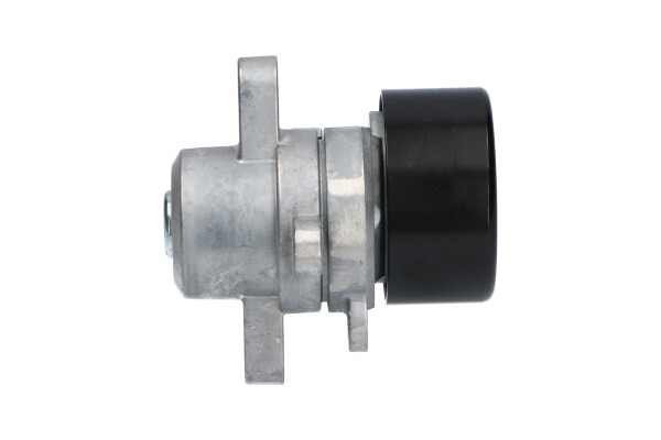 Kavo Parts Spanrol (poly) V-riem DTP-6550