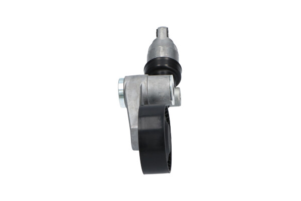 Kavo Parts Spanrol (poly) V-riem DTP-7509