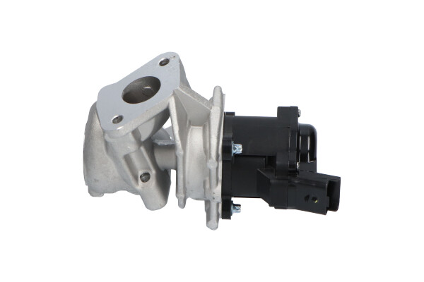Kavo Parts EGR-klep EEG-8501