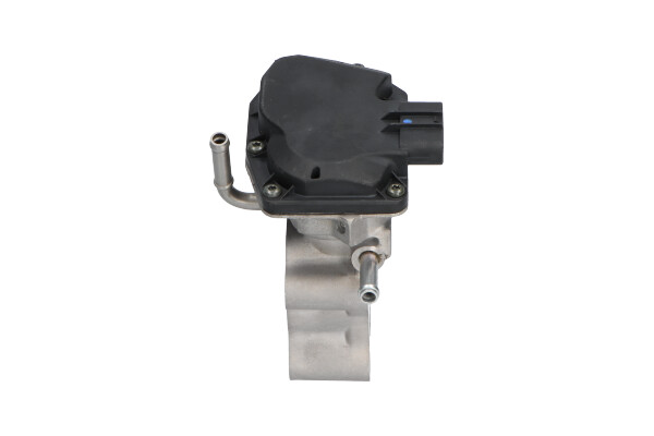 Kavo Parts EGR-klep EEG-9022