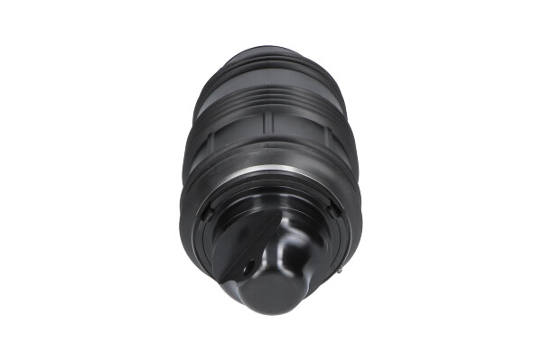 Kavo Parts Veer SAS-10026