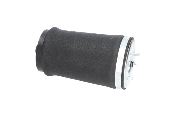 Kavo Parts Veer SAS-10034