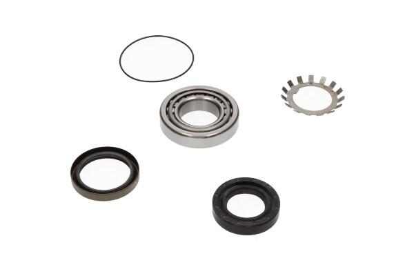 Kavo Parts Wiellagerset WBK-5508