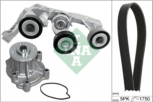 Poly V-riemen kit inclusief waterpomp INA 529 0081 31