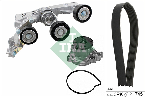 Poly V-riemen kit inclusief waterpomp INA 529 0148 30