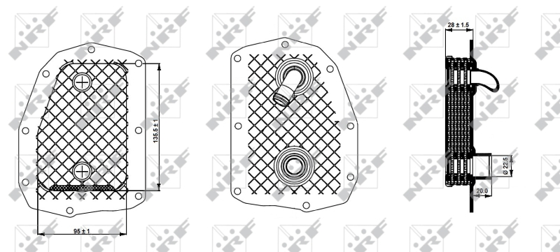 NRF Oliekoeler motorolie 31352