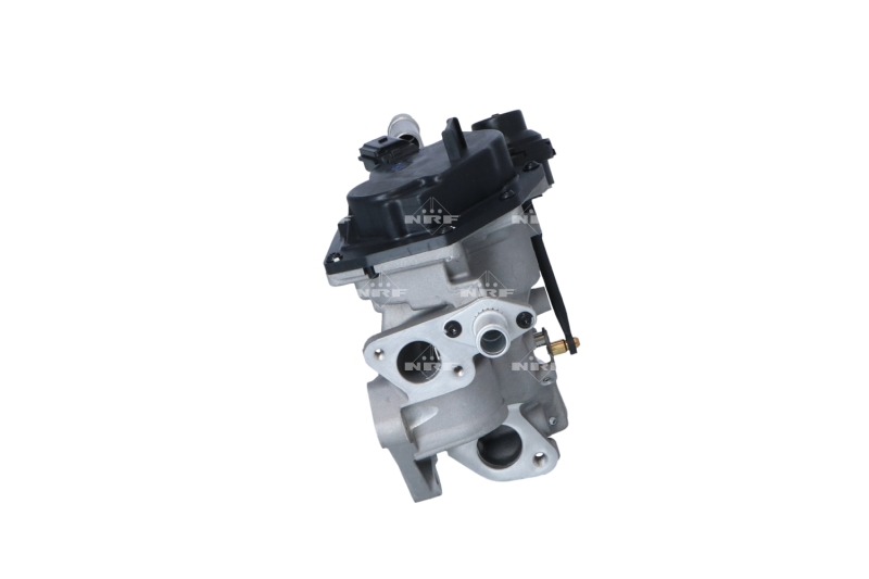 NRF EGR-klep 48202