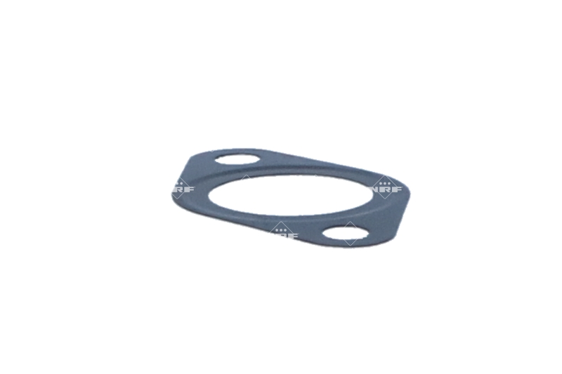 NRF EGR-klep 48625