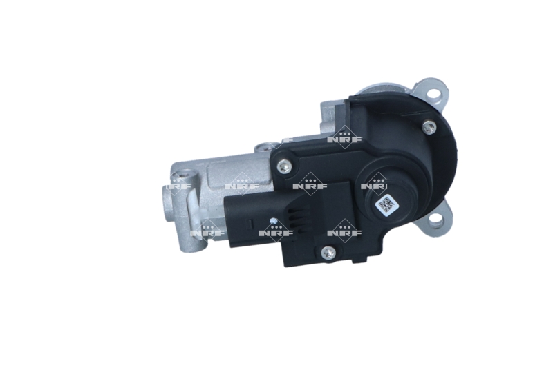 NRF EGR-klep 48631