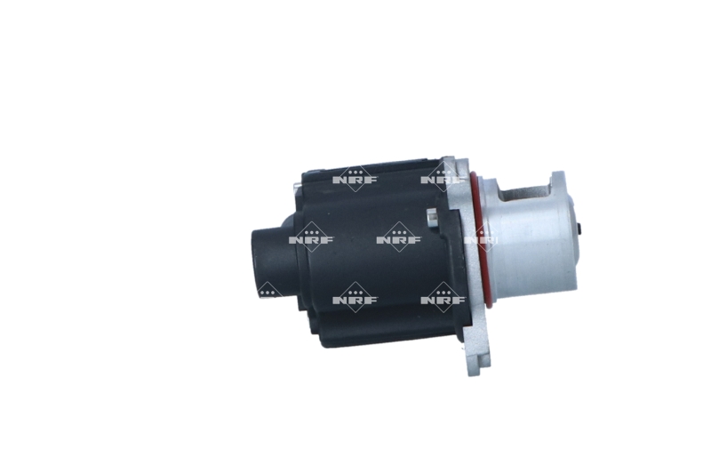 NRF EGR-klep 48631