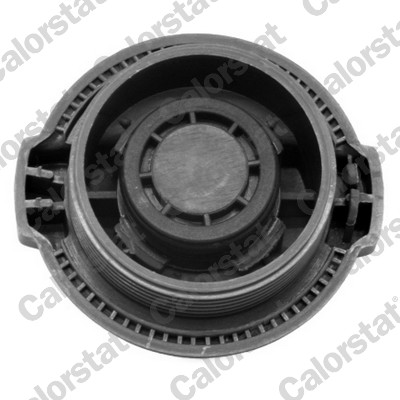 Calorstat By Vernet Expansievat ET0010C1