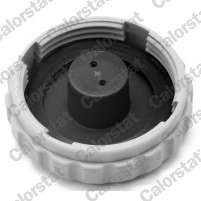Calorstat By Vernet Expansievat ET0034C1