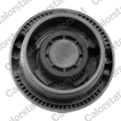 Calorstat By Vernet Radiateurdop RC0028