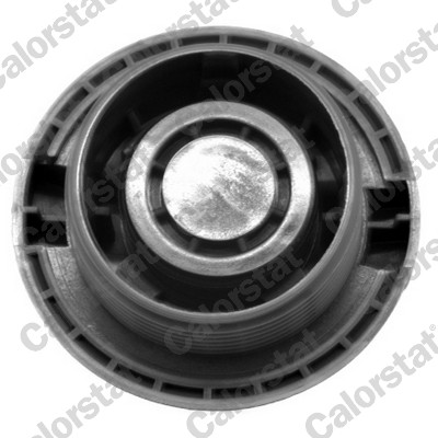 Calorstat By Vernet Radiateurdop RC0034