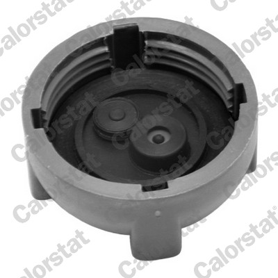 Calorstat By Vernet Radiateurdop RC0036