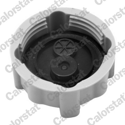 Calorstat By Vernet Radiateurdop RC0038