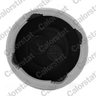 Calorstat By Vernet Expansievat ET0015C1