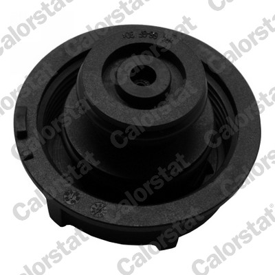 Calorstat By Vernet Expansievat ET0129C1