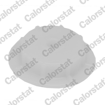 Radiateurdop Calorstat By Vernet RC0175