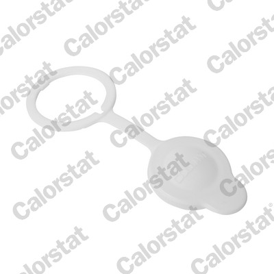 Radiateurdop Calorstat By Vernet RC0206