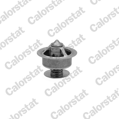 Thermostaat Calorstat By Vernet TBS1004.49