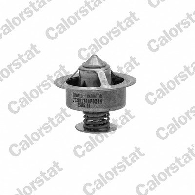 Thermostaat Calorstat By Vernet TBS1005.77