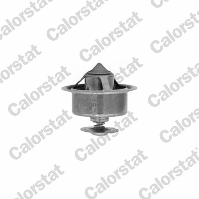 Thermostaat Calorstat By Vernet TBS1006.82