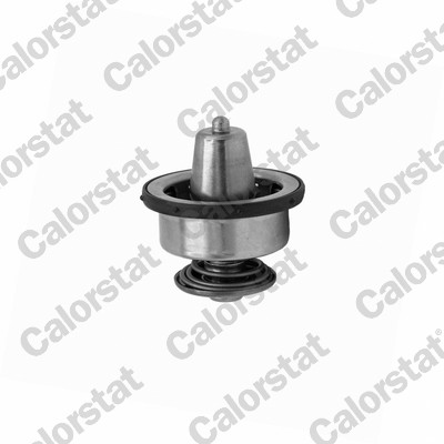 Thermostaat Calorstat By Vernet TBS1007.88
