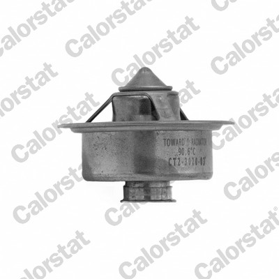 Thermostaat Calorstat By Vernet TBS1008.82