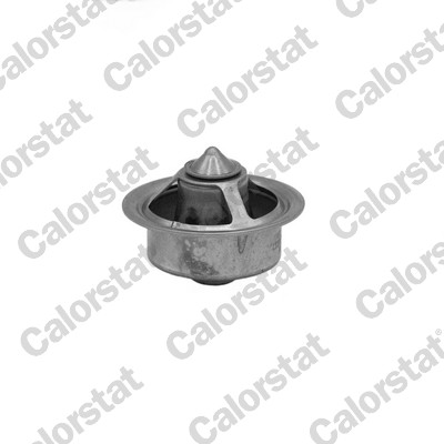 Thermostaat Calorstat By Vernet TBS1010.71