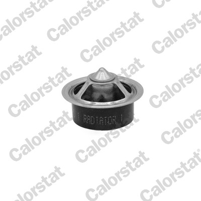 Thermostaat Calorstat By Vernet TBS1013.89