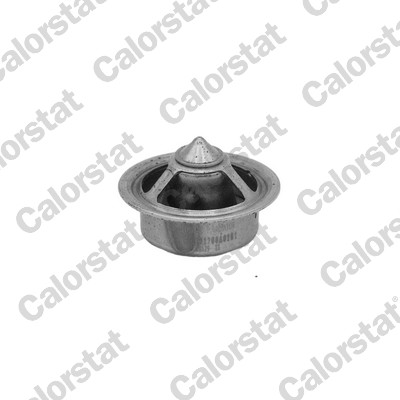 Thermostaat Calorstat By Vernet TBS1014.71