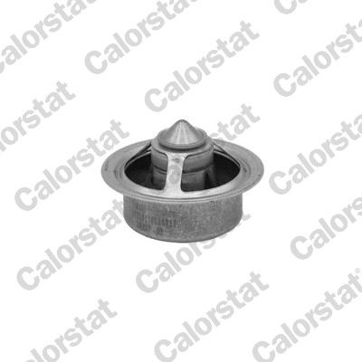 Thermostaat Calorstat By Vernet TBS1015.49