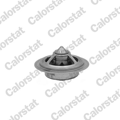 Thermostaat Calorstat By Vernet TBS1016.71
