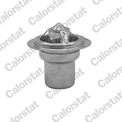 Thermostaat Calorstat By Vernet TBS1017.57