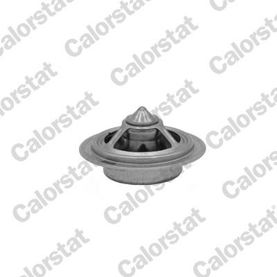 Thermostaat Calorstat By Vernet TBS1018.61