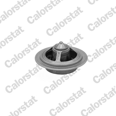Thermostaat Calorstat By Vernet TBS1020.82