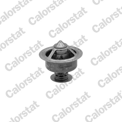 Thermostaat Calorstat By Vernet TBS1021.77