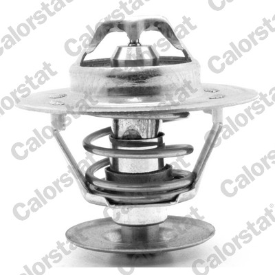Thermostaat Calorstat By Vernet TH1392.82J