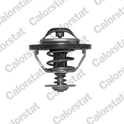 Thermostaat Calorstat By Vernet TH5353.83J