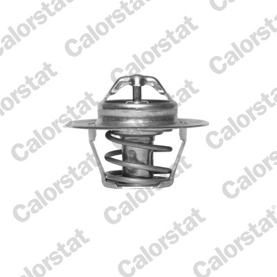 Thermostaat Calorstat By Vernet TH5812.74J