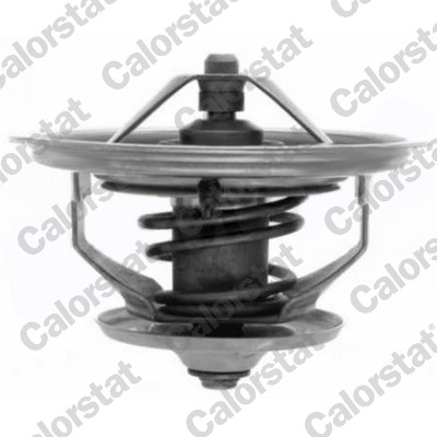 Thermostaat Calorstat By Vernet TH7103.71J